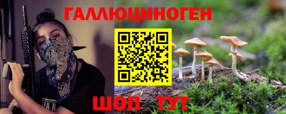 Галлюциногенные грибы MAGIC MUSHROOMS  Псилоцибиновые грибы Psilocybe  Астрахань  Вход с VPN 